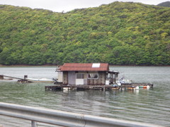 長崎県対馬市