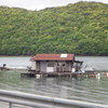 長崎県対馬市