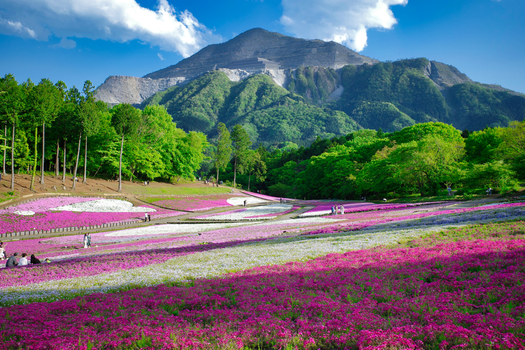 埼玉県秩父市