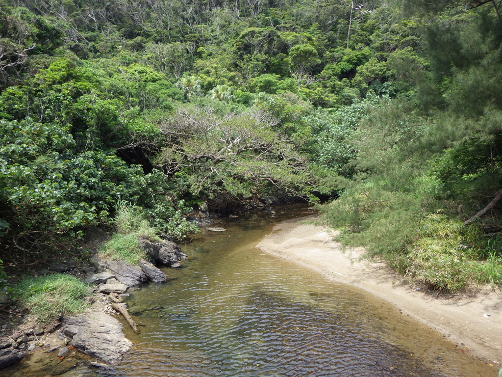 鹿児島県大島郡瀬戸内町