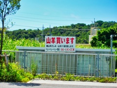 再）沖縄県糸満市