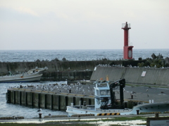 北海道目梨郡羅臼町相泊