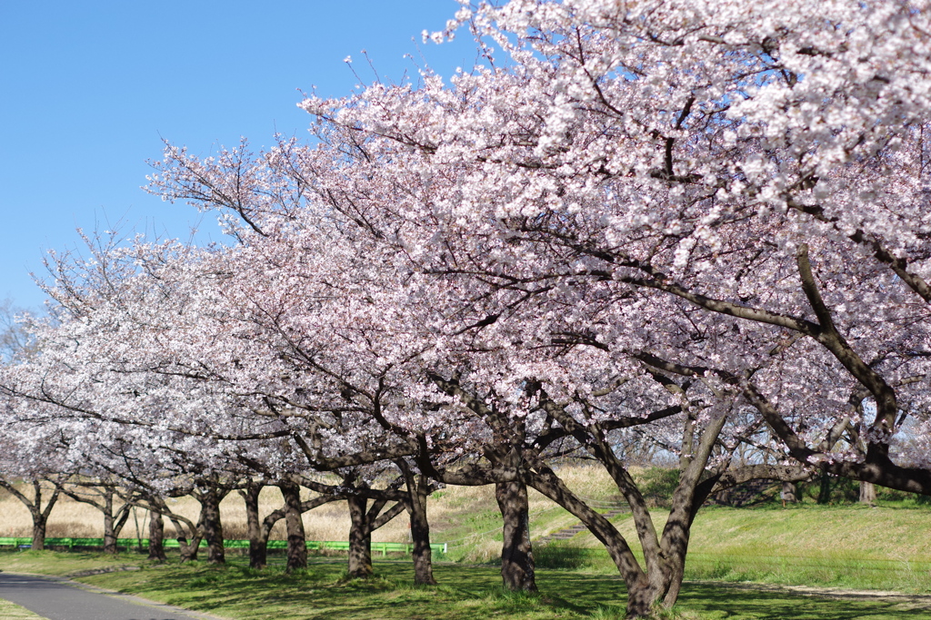 埼玉県川越市