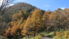 栃木県日光市中宮祠