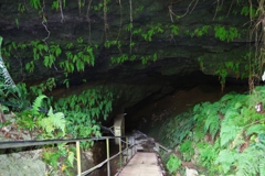 鹿児島県大島郡知名町