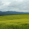 北海道上川郡美瑛町