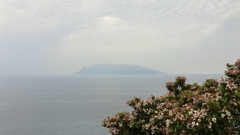 鹿児島県熊毛郡屋久島町