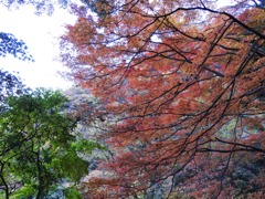 岐阜県養老郡養老町