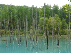 北海道上川郡美瑛町