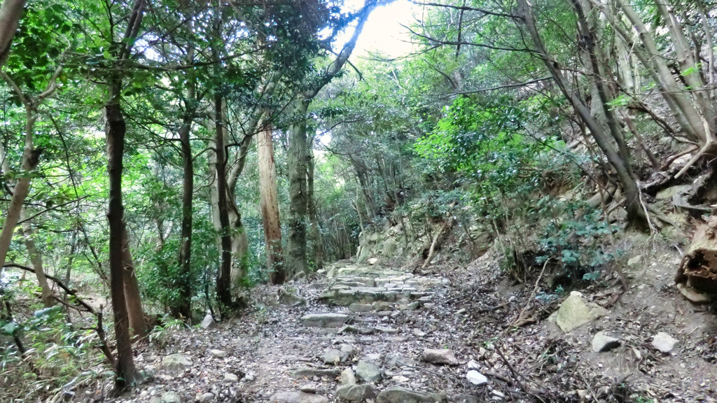 再）福井県敦賀市