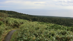 北海道利尻郡利尻町沓形