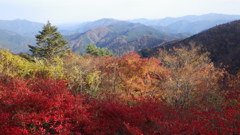  山梨県北都留郡小菅村