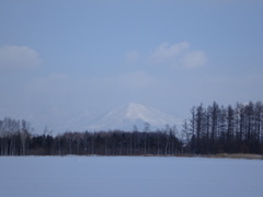 北海道河東郡鹿追町