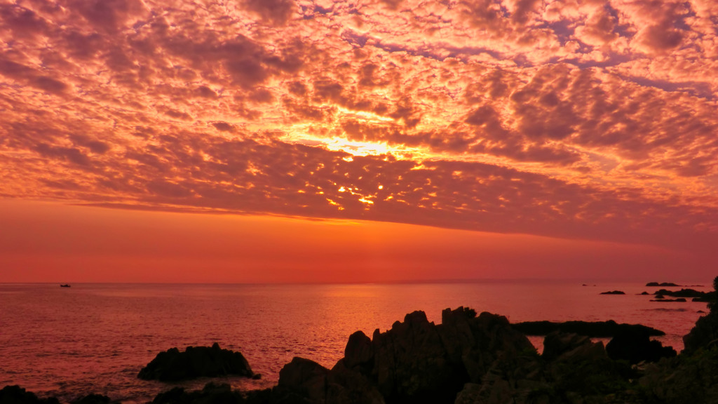 再）鹿児島県熊毛郡屋久島町