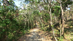 沖縄県島尻郡座間味村