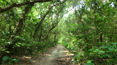 沖縄県八重山郡竹富町