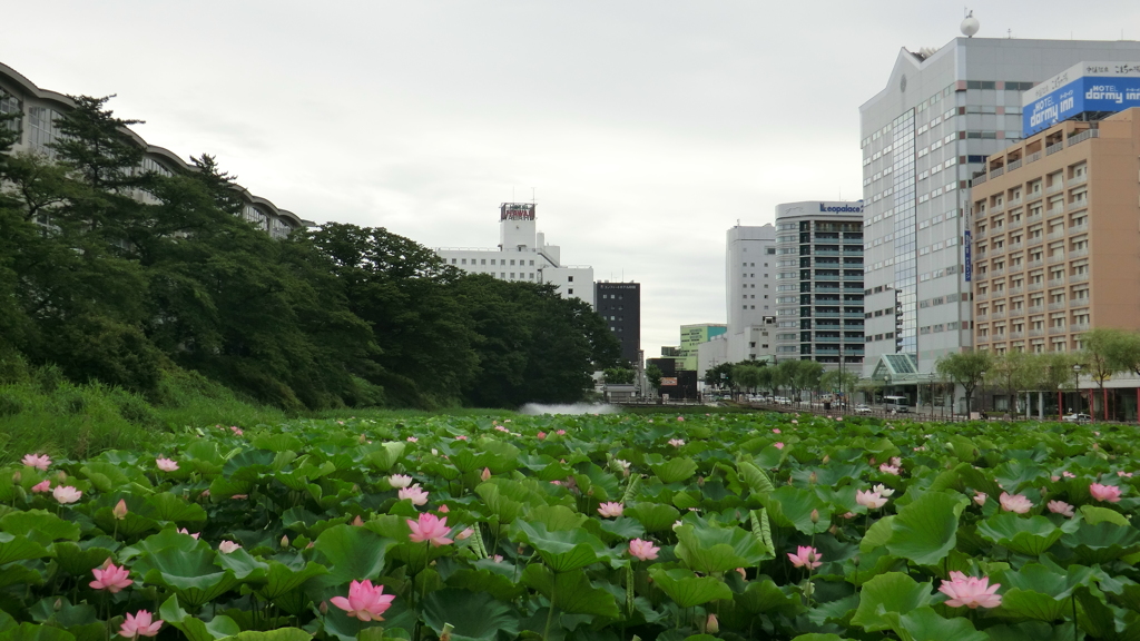 秋田県秋田市