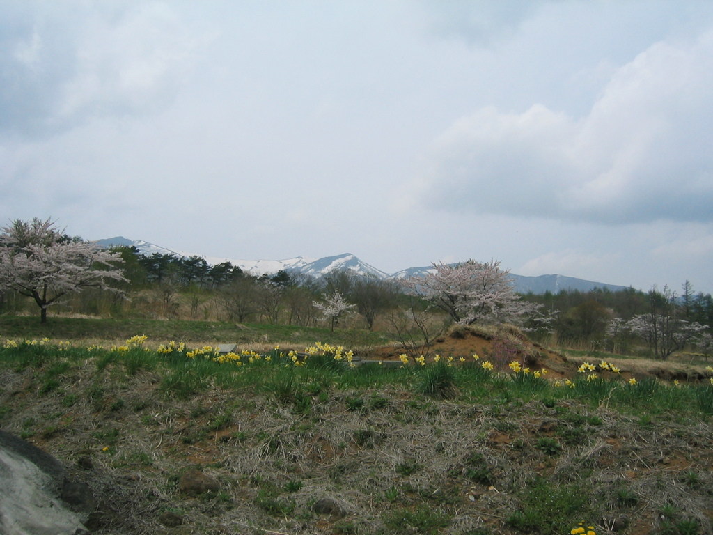 宮城県白石市