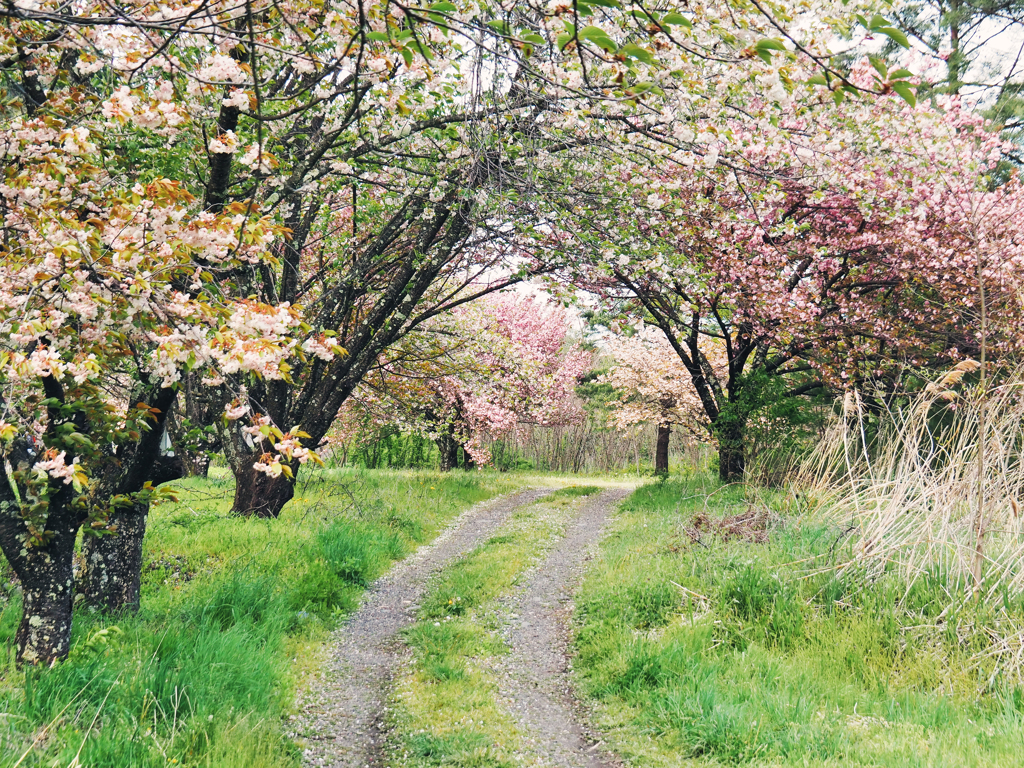 長野県松本市