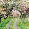 長野県松本市