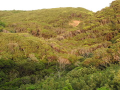 鹿児島県熊毛郡南種子町