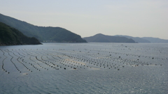 愛媛県宇和島市津島町