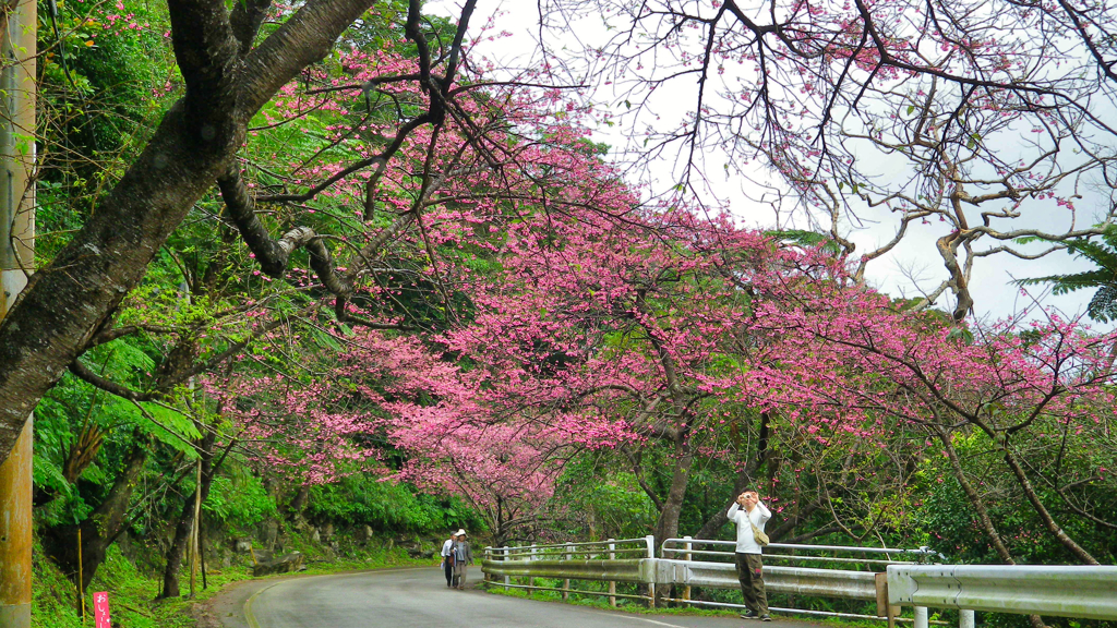 再）沖縄県名護市