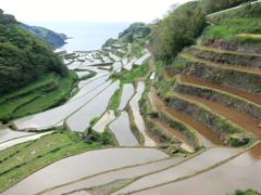 佐賀県東松浦郡玄海町