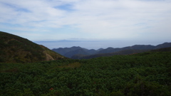 北海道目梨郡羅臼町