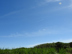 沖縄県八重山郡竹富町波照間
