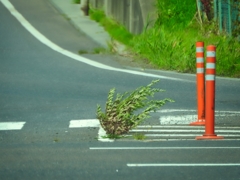 再）青森県八戸市