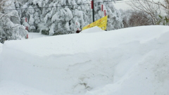 長野県下高井郡山ノ内町