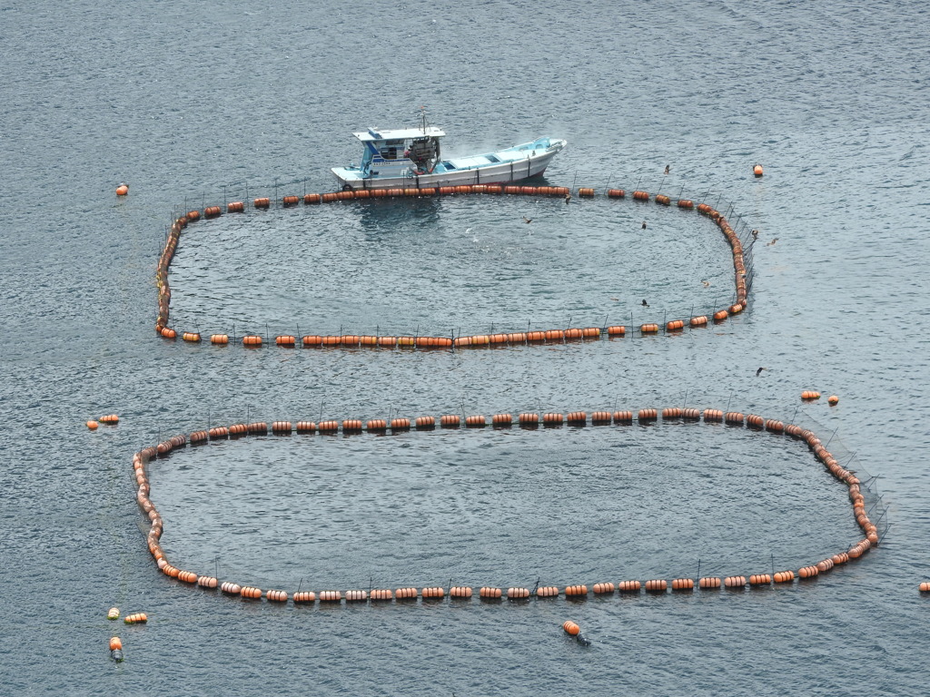鹿児島県南さつま市