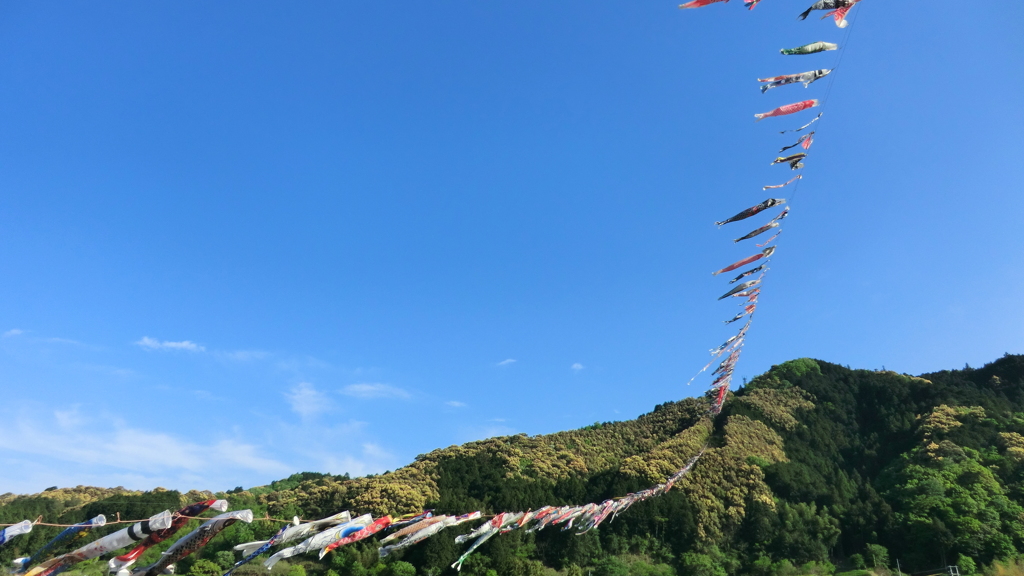 高知県高岡郡四万十町