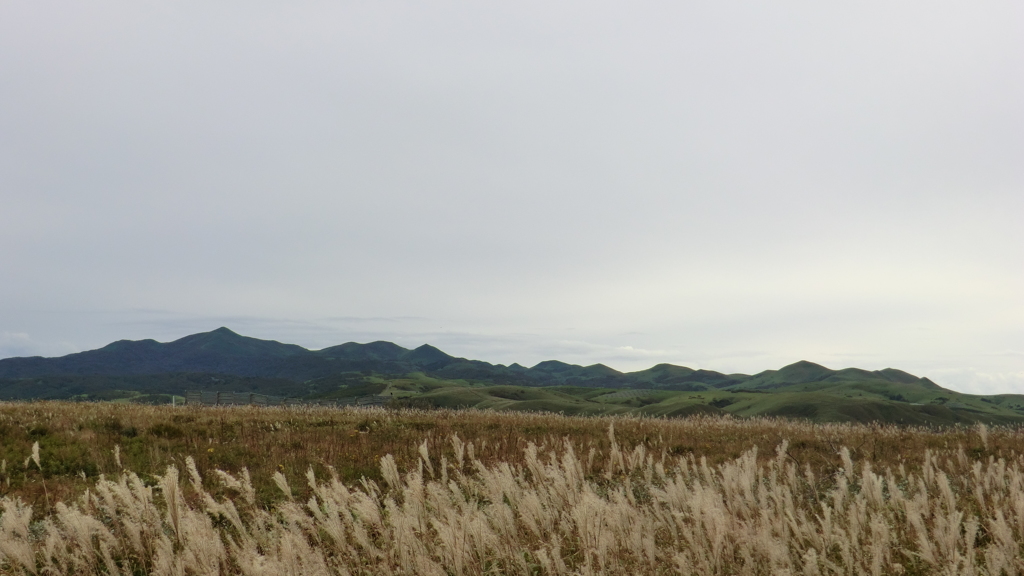 北海道礼文郡礼文町大字船泊村
