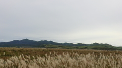 北海道礼文郡礼文町大字船泊村