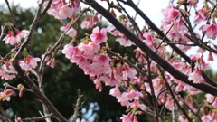 沖縄県島尻郡久米島町