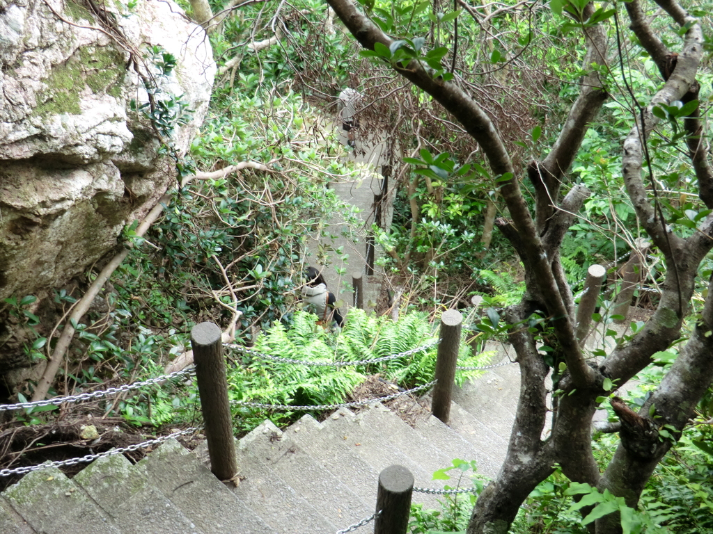  沖縄県国頭郡伊江村