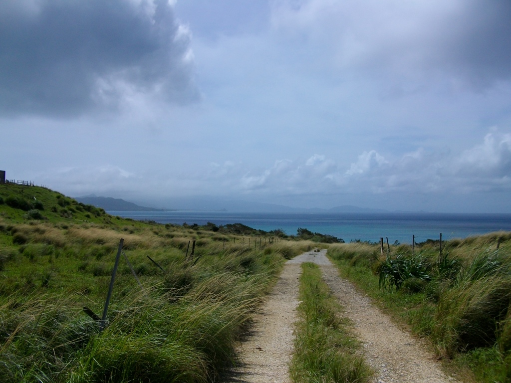 石垣島
