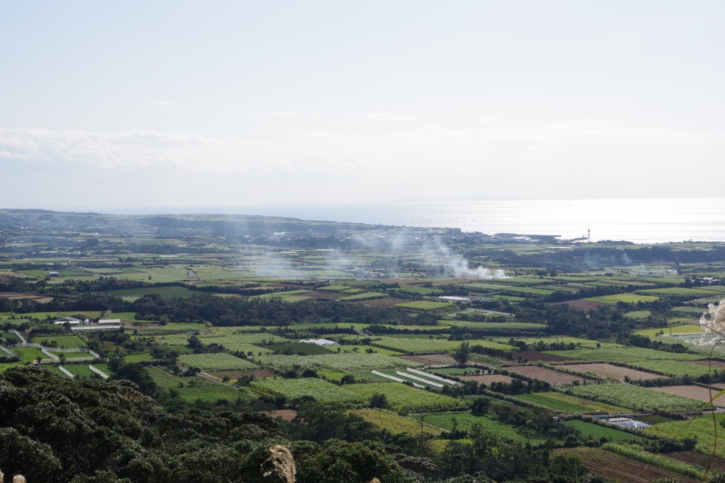 鹿児島県大島郡天城町