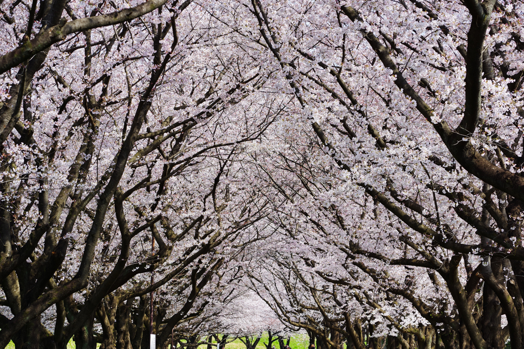 埼玉県川越市