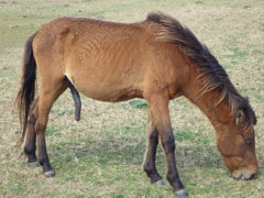 沖縄県八重山郡与那国町