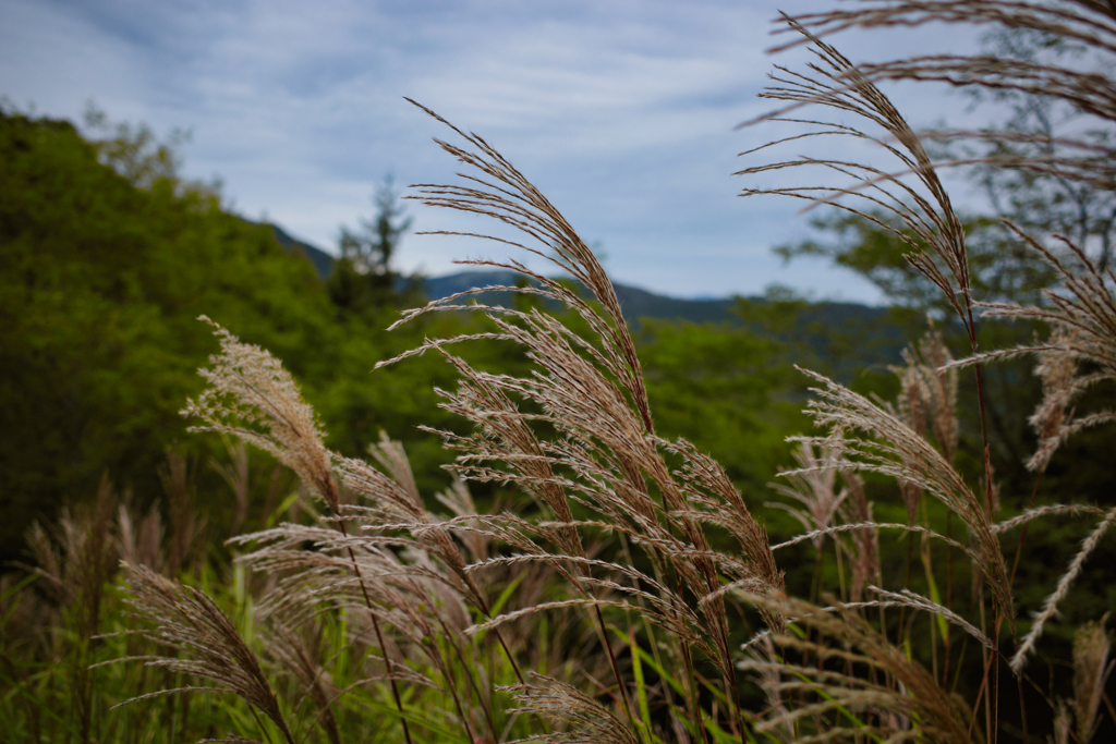 長野県小県郡長和町