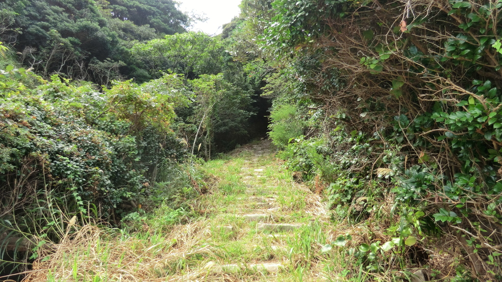 福井県敦賀市立石