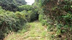 福井県敦賀市立石