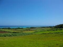 石垣島