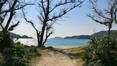 沖縄県島尻郡座間味村