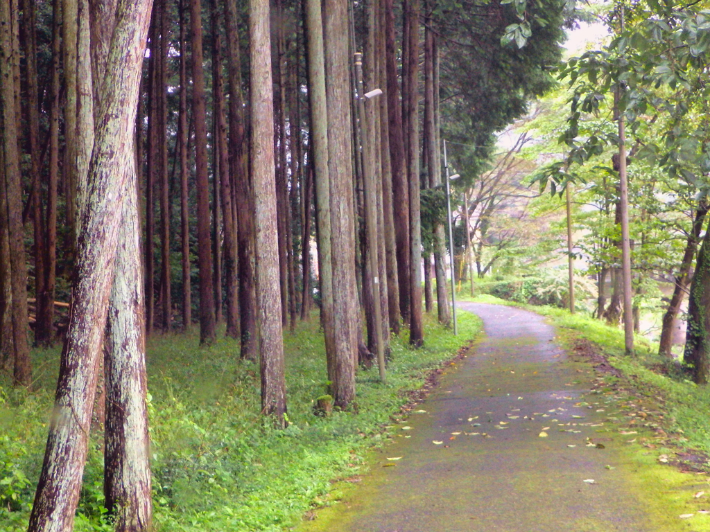 埼玉県秩父郡東秩父村