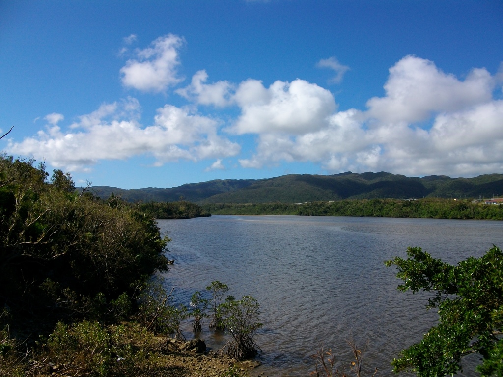 西表島