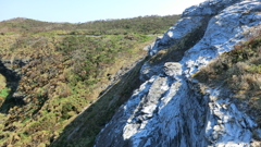沖縄県島尻郡座間味村